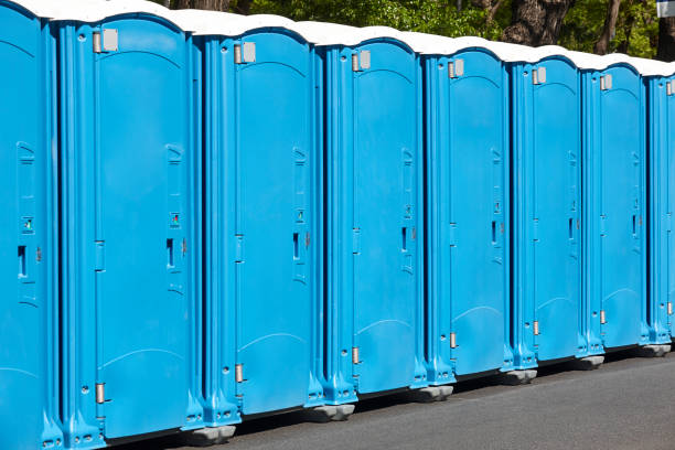 Best Portable Toilets with Baby Changing Stations  in Chicago Heights, IL