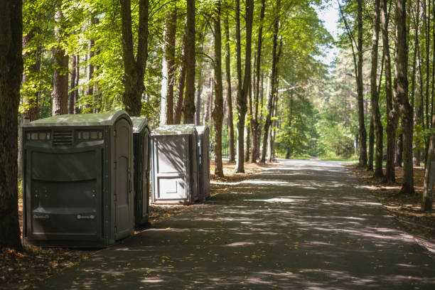 Best Standard Portable Toilet Rental  in Chicago Heights, IL